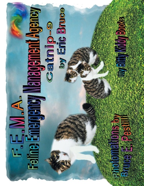 F.E.M.A: Feline Emergency Management Agency