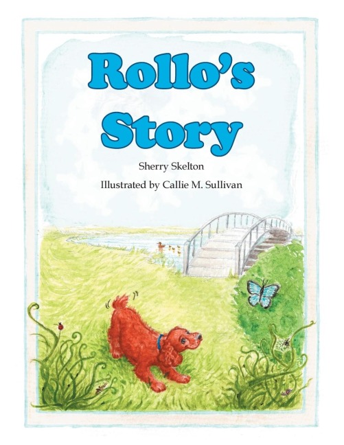 Rollos  Story