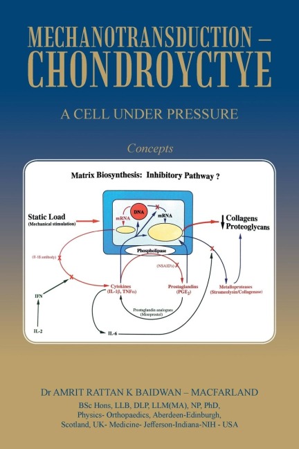 Mechanotransduction - Chondroyctye: A Cell Under Pressure