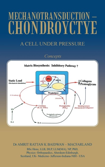 Mechanotransduction - Chondroyctye: A Cell Under Pressure