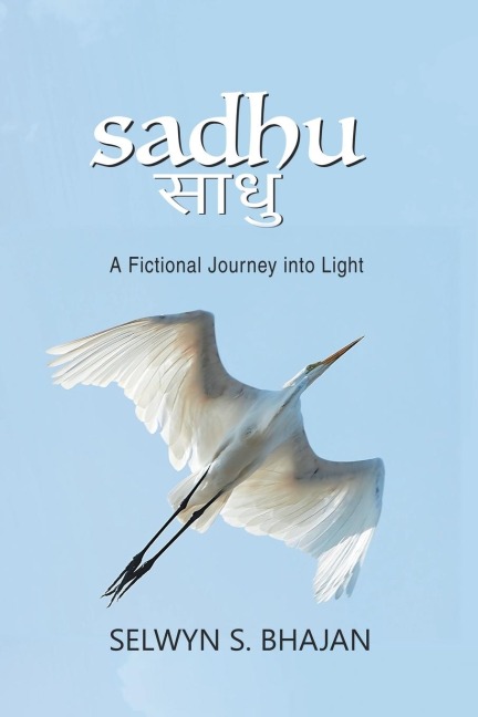 Sadhu: A Fictional Journey into Light