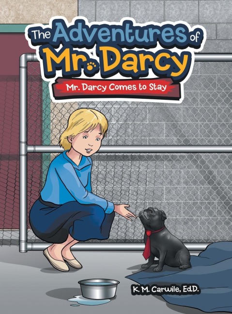 The Adventures of Mr. Darcy: Mr. Darcy Comes to Stay