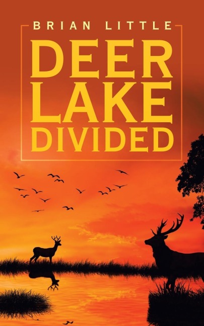 Deer Lake Divided