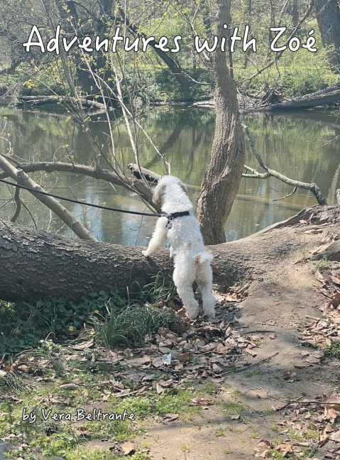 Adventures with Zoé