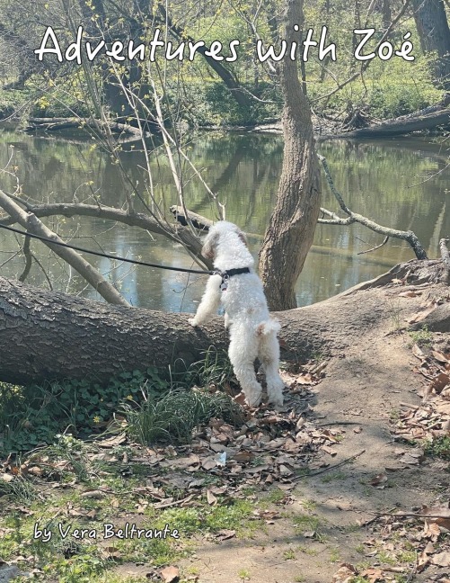Adventures with Zoé