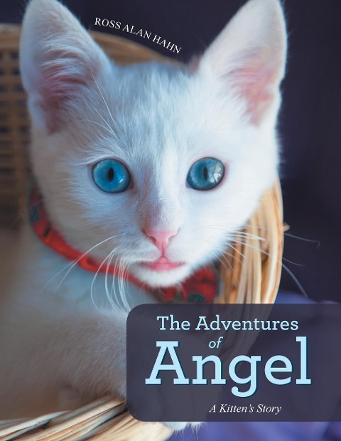 The Adventures of Angel: A Kittens Story