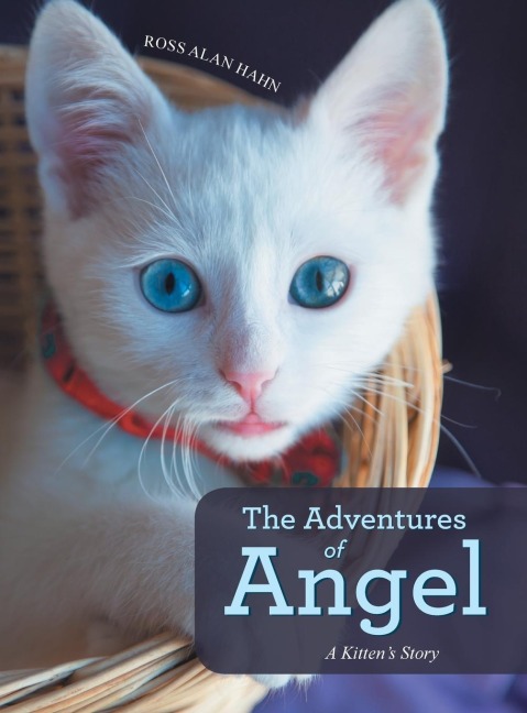 The Adventures of Angel: A Kittens Story