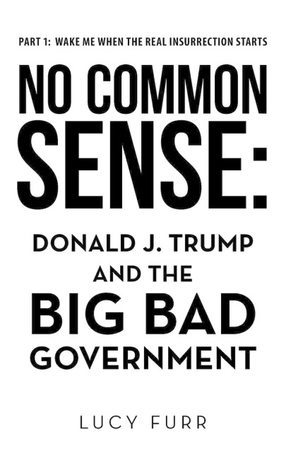 No Common Sense: : Donald J. Trump and the Big Bad Government