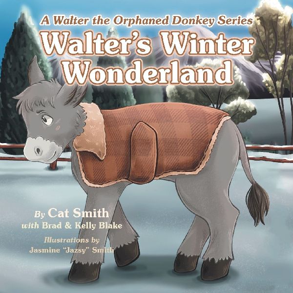 Walters Winter Wonderland: A Walter the Orphaned Donkey Series