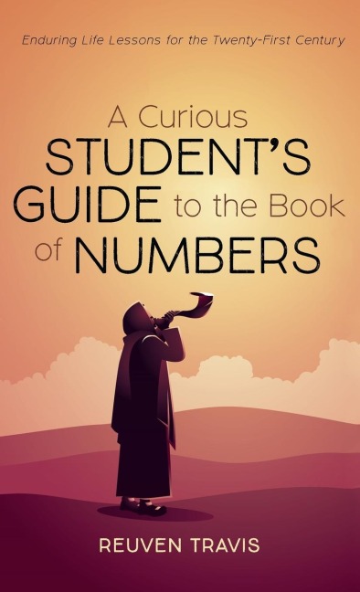 A Curious Students Guide to the Book of Numbers