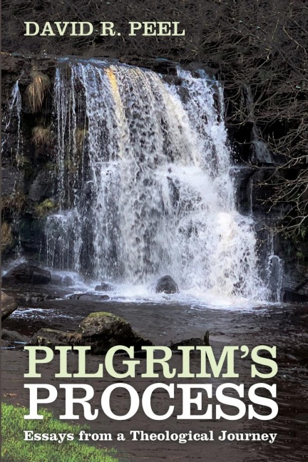 Pilgrims Process
