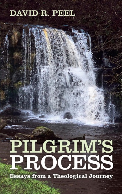 Pilgrims Process