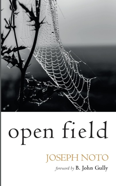 Open Field