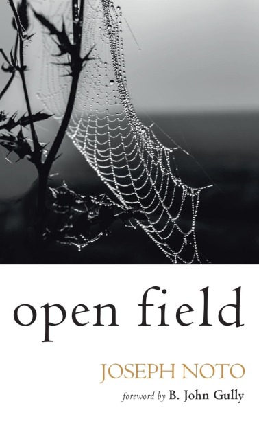 Open Field