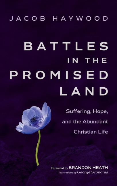 Battles in the Promised Land