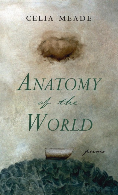 Anatomy of the World