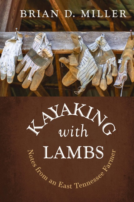 Kayaking with Lambs