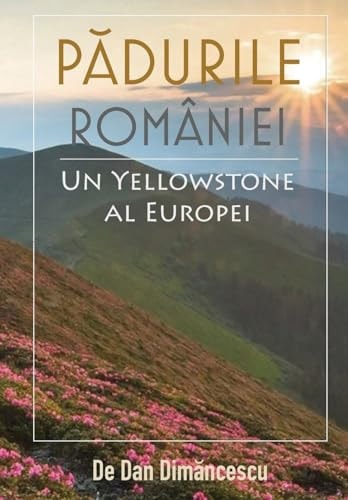 Padurile României Un Yellowstone Al Europei