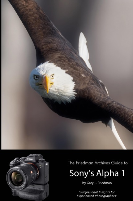 The Friedman Archives Guide to Sonys Alpha 1 (B&W Edition)