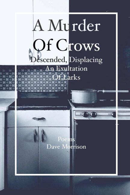 A Murder of Crows Descended, Displacing an Exultation of Larks: Poems - Dave Morrison