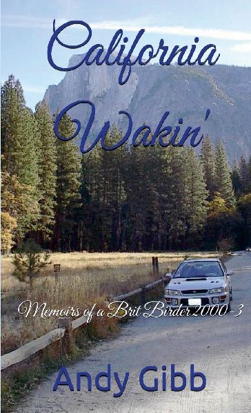 California Wakin: Memoirs of a Brit Birder 2000-3