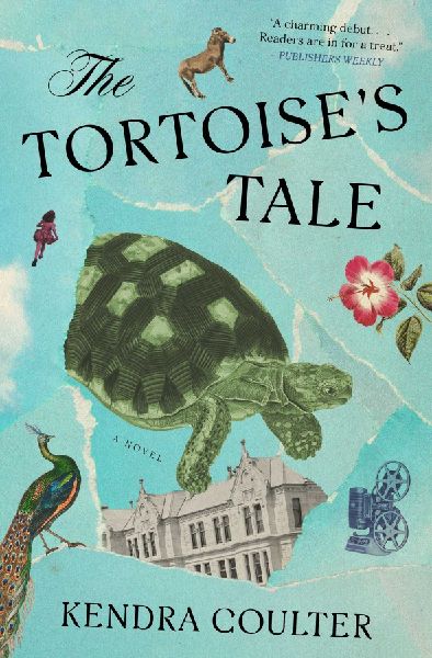 The Tortoises Tale