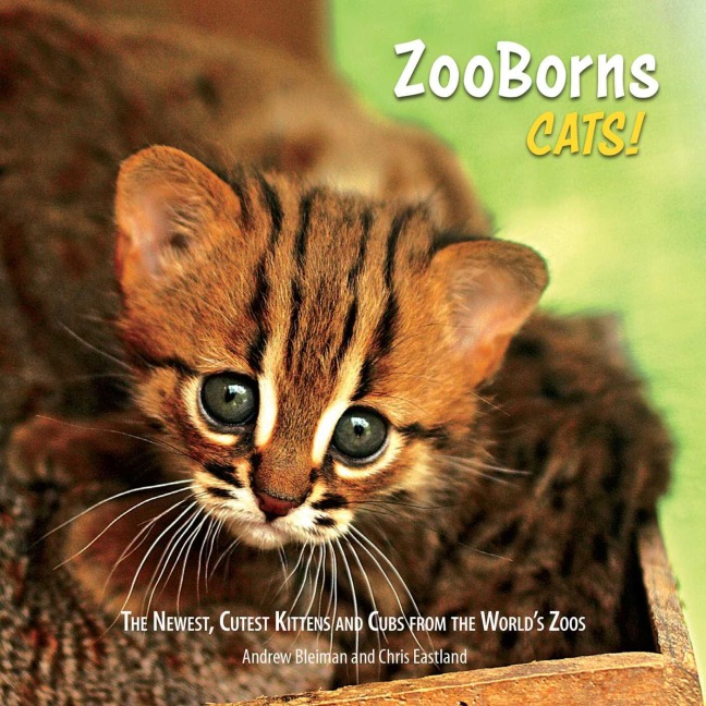 ZooBorns Cats!: The Newest, Cutest Kittens and Cubs from the Worlds Zoos