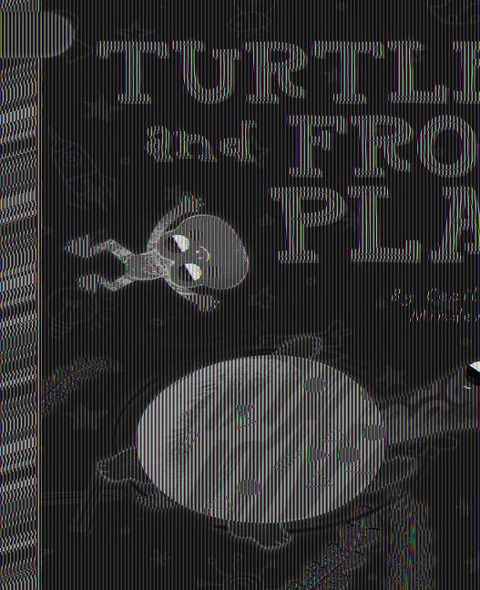 Turtle and Frog Play
