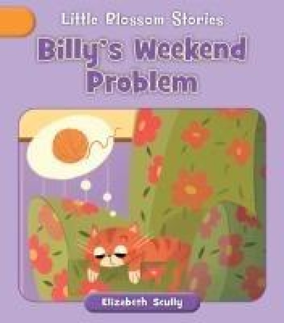 Billys Weekend Problem