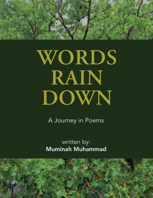 Words Rain  Down: A Journey in Poems