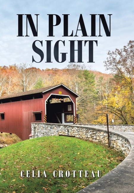 In Plain Sight