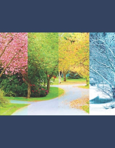 Order Of Seasons Graphing Grids