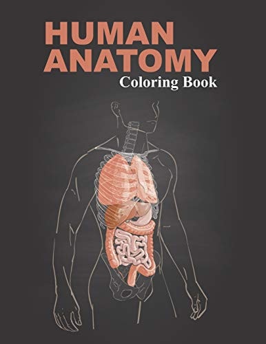 Human Anatomy Coloring Book An Inexpensive Workbook Which Supplements Human Anatomy
