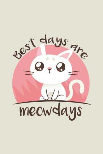 Best Days are Meowdays Wochenplaner Jahr 2020 Mit Prioritäten und ToDos 53 Seiten Als Geschenk
