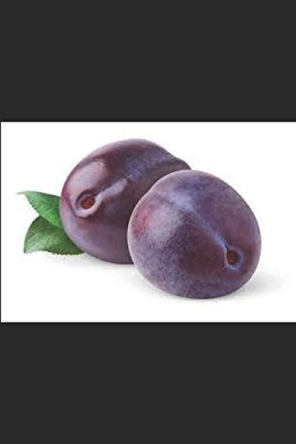 The Quest for the Quiet Plum The Evolution of My Relationship With a Woman from China