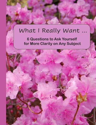 What I Really Want 6 Questions to Ask Yourself for More Clarity on Any Subject - Pink Flowers Cover