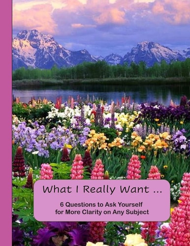 What I Really Want 6 Questions to Ask Yourself for More Clarity on Any Subject - Flowers and Mountains Cover