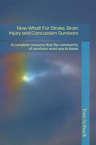Now What! For Stroke, Brain Injury and Concussion Survivors A Complete Resource that the Community of Survivors Want You to Know