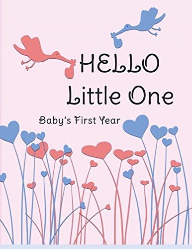 Hello Little One Baby's First Year