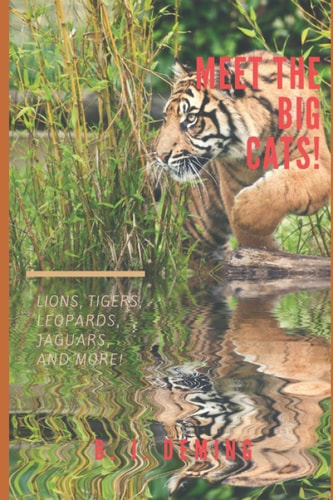 Meet The Big Cats!