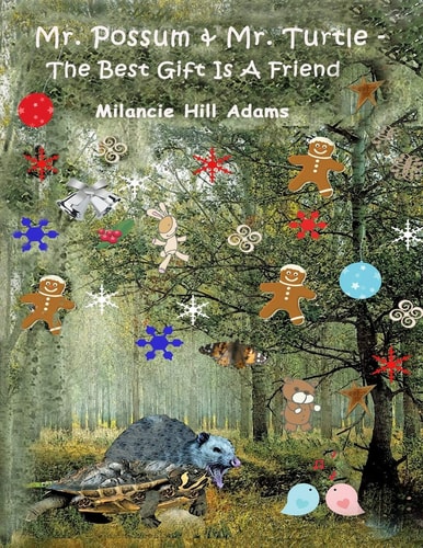 Mr. Possum and Mr. Turtle - the Best Gift Is a Friend