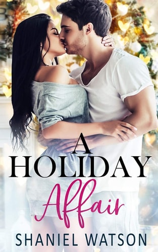 A Holiday Affair An Office Romance