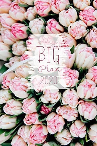 My Big Plans 120 Seiten, Softcover