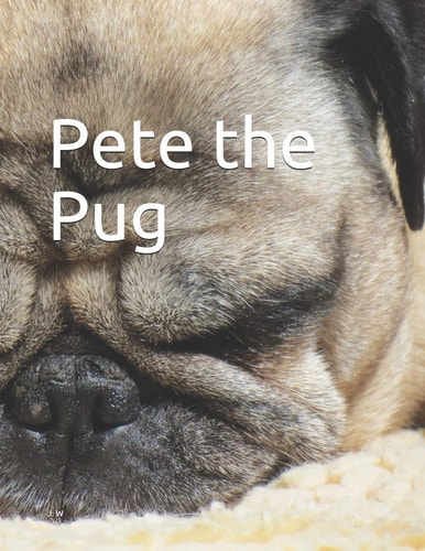 Pete the Pug