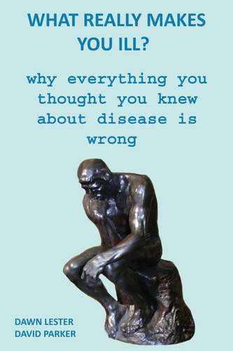 What Really Makes You Ill? Why Everything You Thought You Knew About Disease Is Wrong