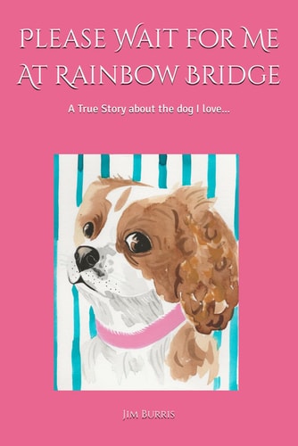 Please Wait for Me At Rainbow Bridge A True Story About The Dog I Love