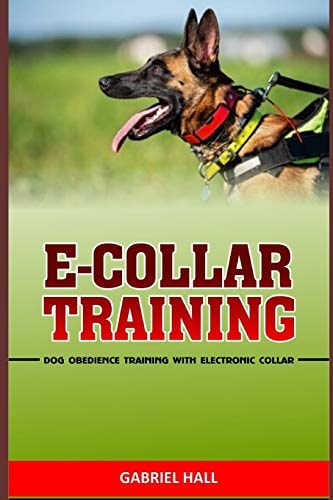E-Collar Training Dog Obedience Training With Electronic Collar