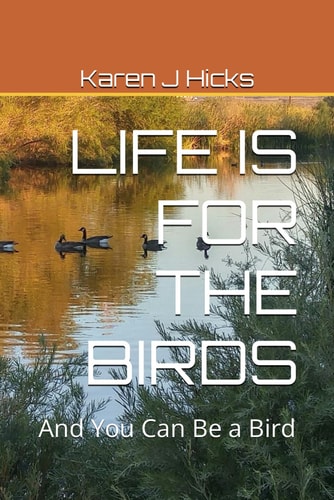 Life Is for the Birds And You Can Be a Bird