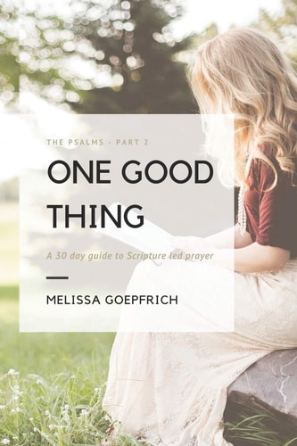 One Good Thing The Psalms - Part 2: a 30-Day Guide to Scripture Led Prayer