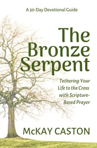 The Bronze Serpent Tethering Your Life to the Cross with Scripture-Based Prayer